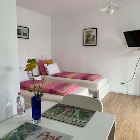Casa Petri Hotell Sînpetru Eksteriør bilde